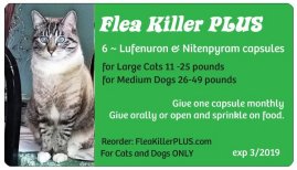 Medium Cat Flea Killer Plus