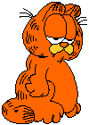 Garfield cat