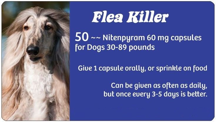 Regular Dog Flea Killer (blue)