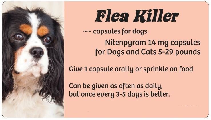 Small Dog Flea Killer (peach)